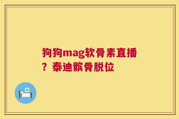 狗狗mag软骨素直播？泰迪髌骨脱位