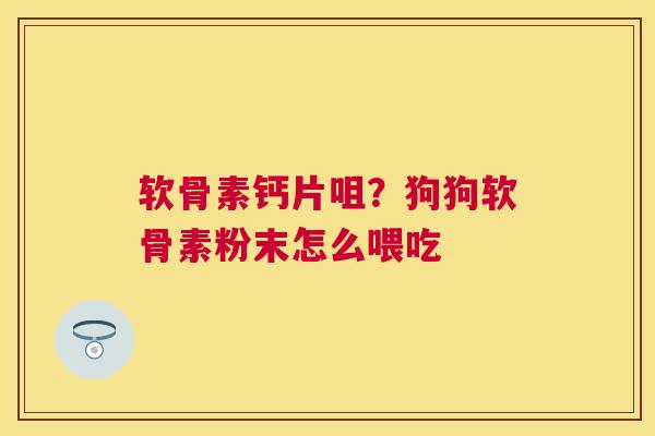 软骨素钙片咀？狗狗软骨素粉末怎么喂吃