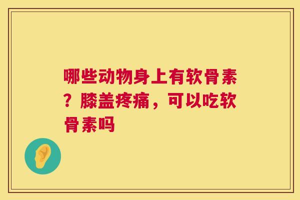 哪些动物身上有软骨素？膝盖疼痛，可以吃软骨素吗