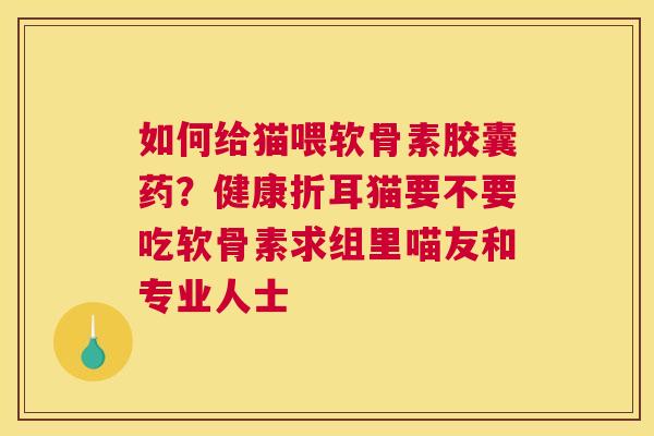 如何给猫喂软骨素胶囊药？健康折耳猫要不要吃软骨素求组里喵友和专业人士