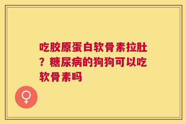 吃胶原蛋白软骨素拉肚？糖尿病的狗狗可以吃软骨素吗