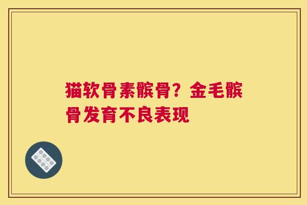 猫软骨素髌骨?金毛髌骨发育不良表现