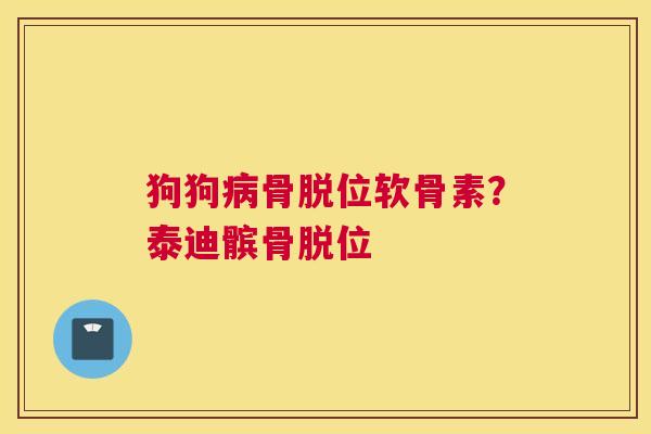 狗狗病骨脱位软骨素？泰迪髌骨脱位