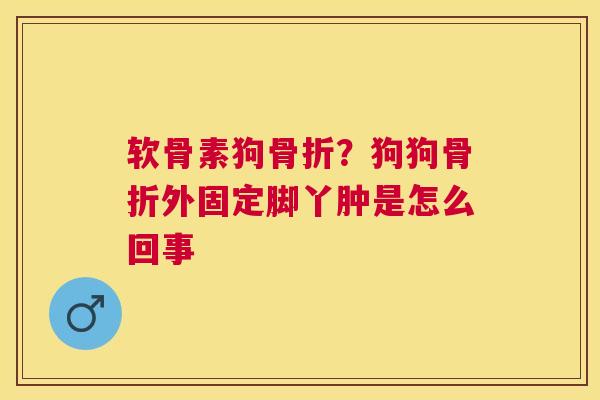 软骨素狗骨折？狗狗骨折外固定脚丫肿是怎么回事