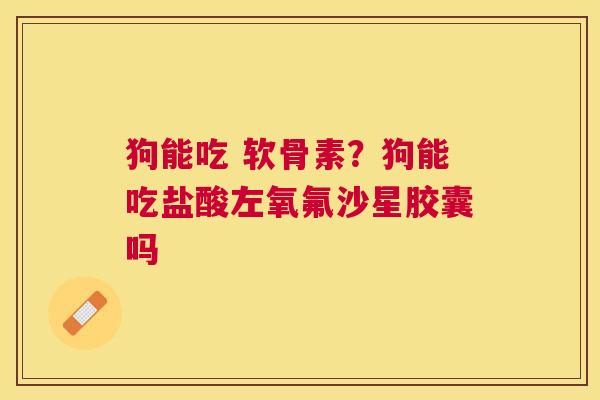 狗能吃 软骨素？狗能吃盐酸左氧氟沙星胶囊吗