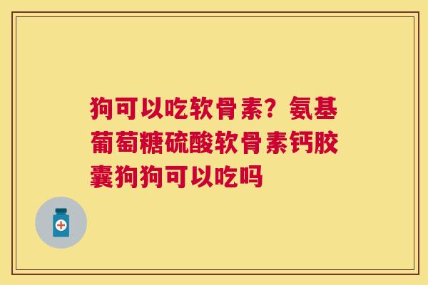 狗可以吃软骨素？氨基葡萄糖硫酸软骨素钙胶囊狗狗可以吃吗