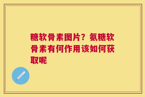 糖软骨素图片？氨糖软骨素有何作用该如何获取呢