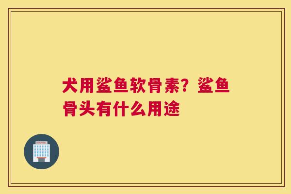 犬用鲨鱼软骨素？鲨鱼骨头有什么用途