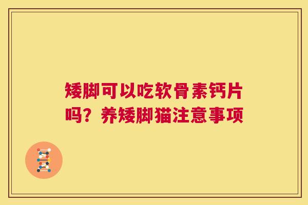 矮脚可以吃软骨素钙片吗？养矮脚猫注意事项