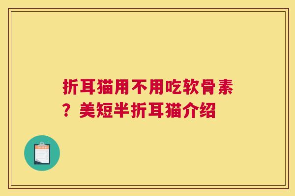 折耳猫用不用吃软骨素？美短半折耳猫介绍
