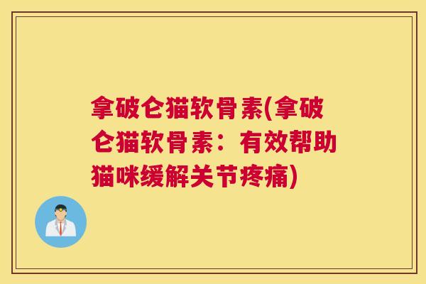 拿破仑猫软骨素(拿破仑猫软骨素：有效帮助猫咪缓解关节疼痛)