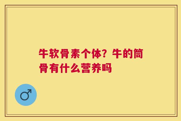 牛软骨素个体?牛的筒骨有什么营养吗 牛软骨素个体?牛的筒骨有什么营养吗