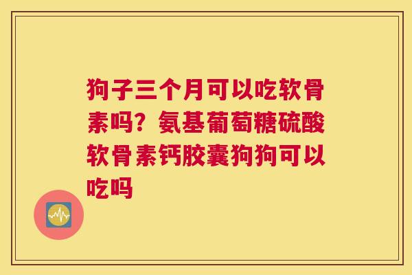 狗子三个月可以吃软骨素吗？氨基葡萄糖硫酸软骨素钙胶囊狗狗可以吃吗