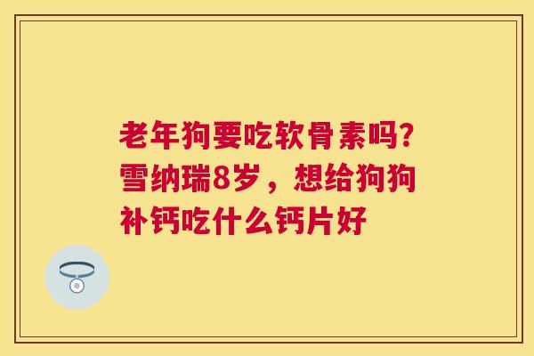老年狗要吃软骨素吗？雪纳瑞8岁，想给狗狗补钙吃什么钙片好