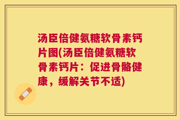汤臣倍健氨糖软骨素钙片图(汤臣倍健氨糖软骨素钙片:促进骨骼健康,缓解关节不适)