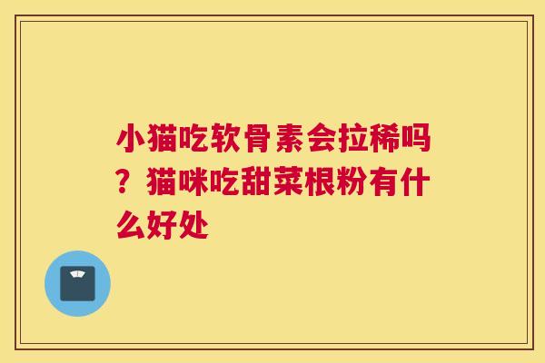 小猫吃软骨素会拉稀吗?猫咪吃甜菜根粉有什么好处