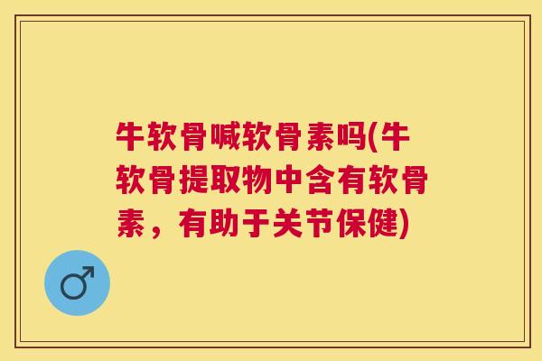 牛软骨喊软骨素吗(牛软骨提取物中含有软骨素，有助于关节保健)