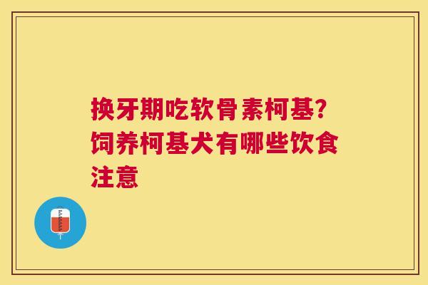 换牙期吃软骨素柯基？饲养柯基犬有哪些饮食注意