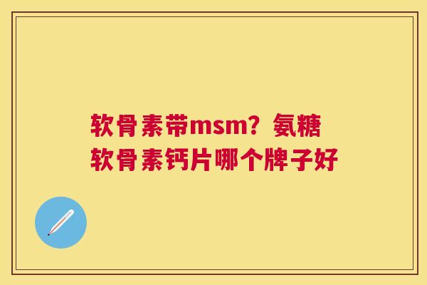 软骨素带msm？氨糖软骨素钙片哪个牌子好
