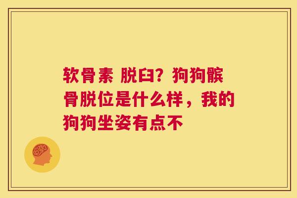 软骨素 脱臼？狗狗髌骨脱位是什么样，我的狗狗坐姿有点不
