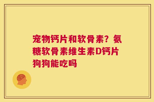 宠物钙片和软骨素?氨糖软骨素维生素D钙片狗狗能吃吗 宠物钙片和软骨素?氨糖软骨素维生素D钙片狗狗能吃吗