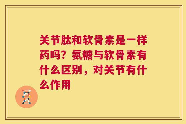 关节肽和软骨素是一样药吗？氨糖与软骨素有什么区别，对关节有什么作用