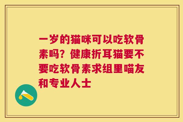 一岁的猫咪可以吃软骨素吗？健康折耳猫要不要吃软骨素求组里喵友和专业人士