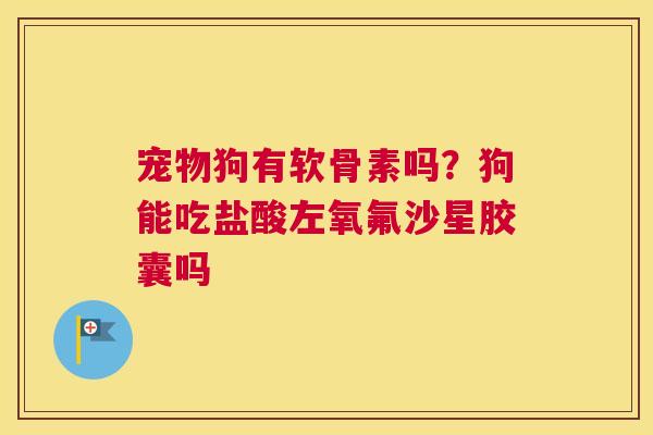 宠物狗有软骨素吗？狗能吃盐酸左氧氟沙星胶囊吗