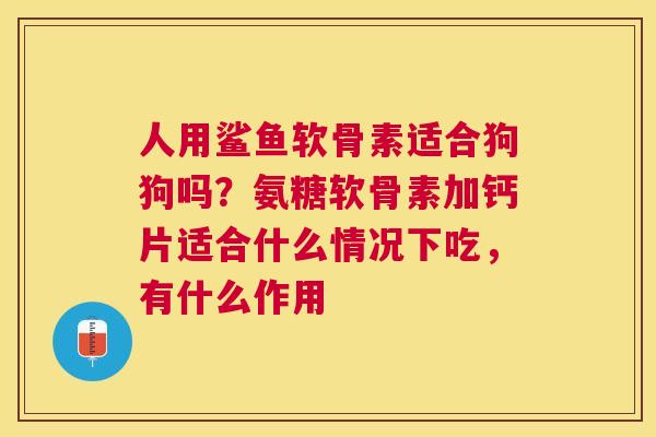 人用鲨鱼软骨素适合狗狗吗？氨糖软骨素加钙片适合什么情况下吃，有什么作用