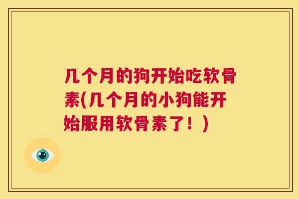 几个月的狗开始吃软骨素(几个月的小狗能开始服用软骨素了！)