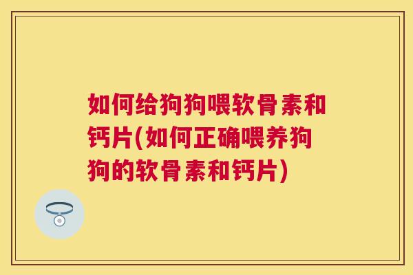 如何给狗狗喂软骨素和钙片(如何正确喂养狗狗的软骨素和钙片)
