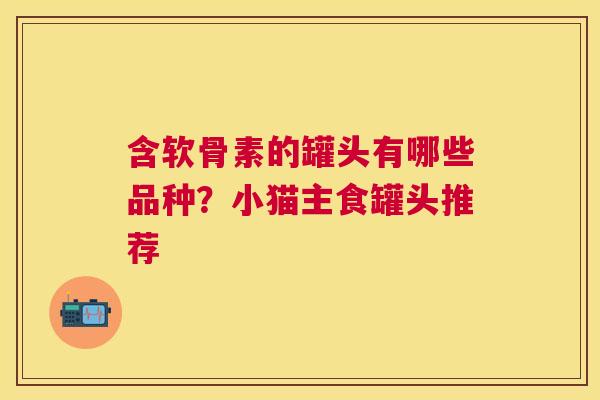 含软骨素的罐头有哪些品种？小猫主食罐头推荐