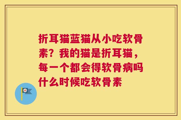 折耳猫蓝猫从小吃软骨素？我的猫是折耳猫，每一个都会得软骨病吗什么时候吃软骨素