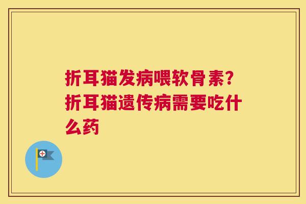 折耳猫发病喂软骨素？折耳猫遗传病需要吃什么药