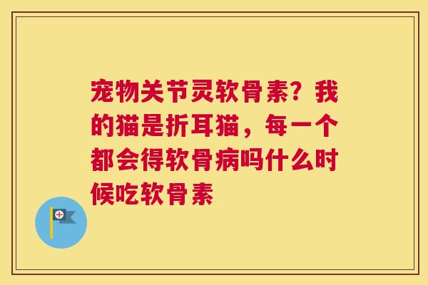 宠物关节灵软骨素？我的猫是折耳猫，每一个都会得软骨病吗什么时候吃软骨素