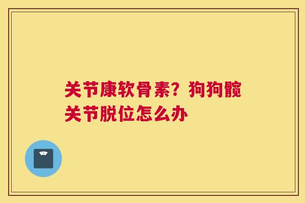 关节康软骨素？狗狗髋关节脱位怎么办