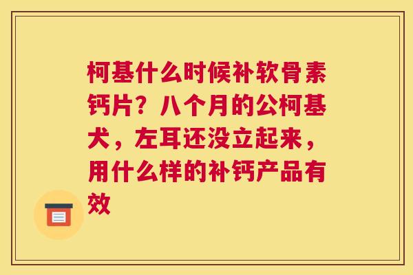 柯基什么时候补软骨素钙片?八个月的公柯基犬,左耳还没立起来,用什么样的补钙产品有效 柯基什么时候补软骨素钙片?八个月的公柯基犬,左耳还没立起来,用什么样的补钙产品有效