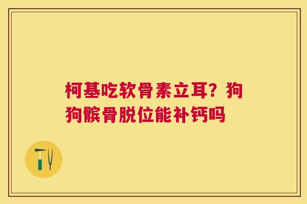 柯基吃软骨素立耳？狗狗髌骨脱位能补钙吗
