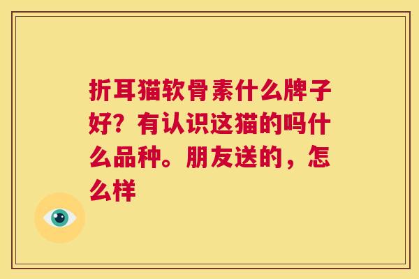 折耳猫软骨素什么牌子好？有认识这猫的吗什么品种。朋友送的，怎么样