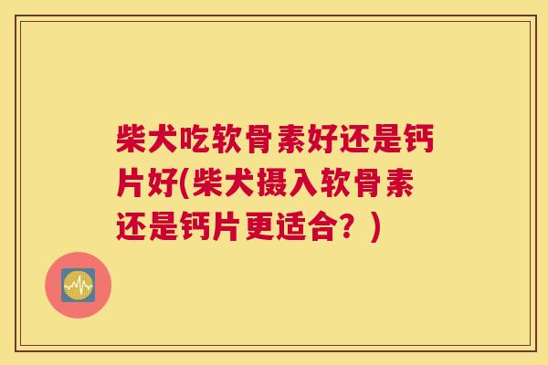 柴犬吃软骨素好还是钙片好(柴犬摄入软骨素还是钙片更适合？)