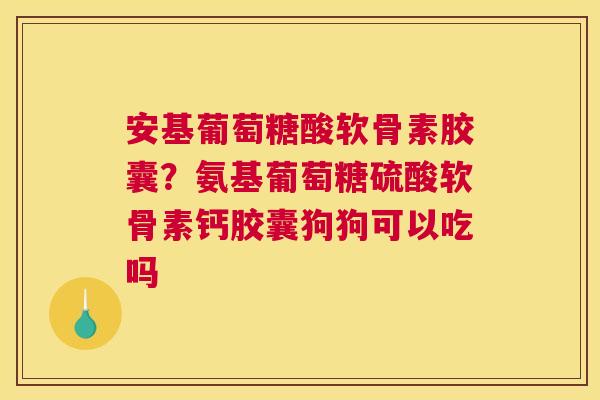 安基葡萄糖酸软骨素胶囊？氨基葡萄糖硫酸软骨素钙胶囊狗狗可以吃吗