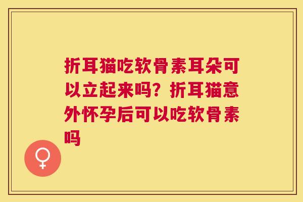折耳猫吃软骨素耳朵可以立起来吗?折耳猫意外怀孕后可以吃软骨素吗