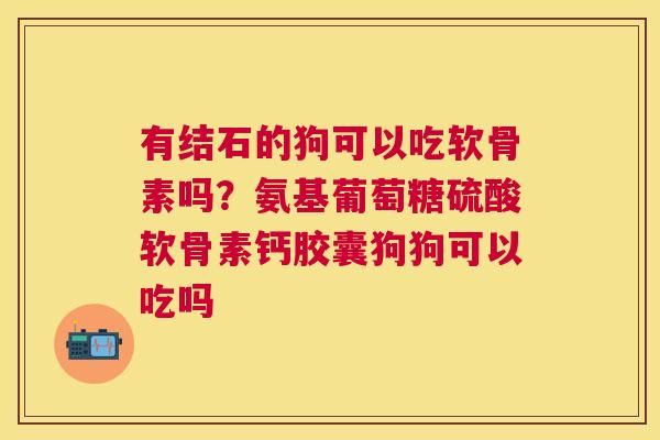 有结石的狗可以吃软骨素吗？氨基葡萄糖硫酸软骨素钙胶囊狗狗可以吃吗