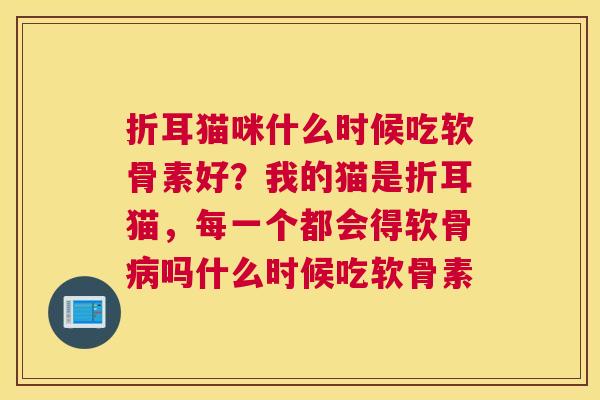 折耳猫咪什么时候吃软骨素好?我的猫是折耳猫,每一个都会得软骨病吗什么时候吃软骨素