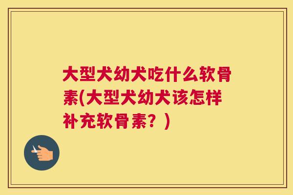 大型犬幼犬吃什么软骨素(大型犬幼犬该怎样补充软骨素？)
