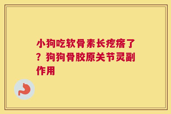 小狗吃软骨素长疙瘩了？狗狗骨胶原关节灵副作用