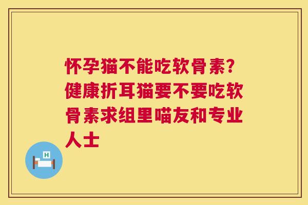 怀孕猫不能吃软骨素？健康折耳猫要不要吃软骨素求组里喵友和专业人士