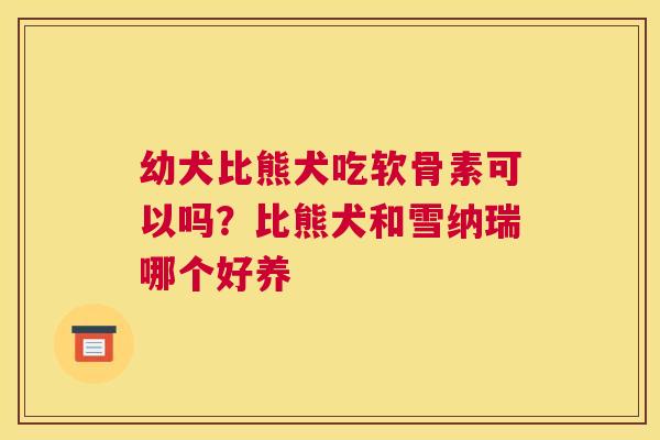 幼犬比熊犬吃软骨素可以吗？比熊犬和雪纳瑞哪个好养