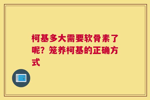 柯基多大需要软骨素了呢？笼养柯基的正确方式