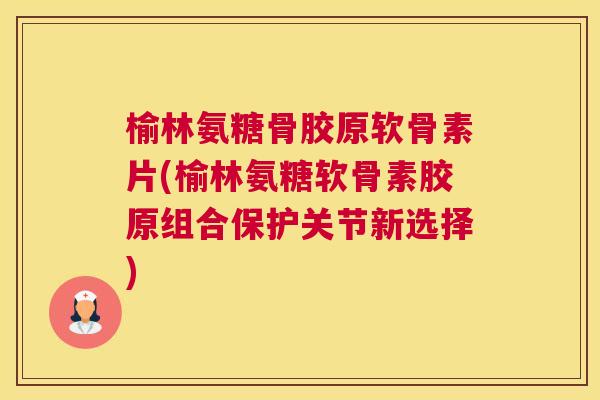 榆林氨糖骨胶原软骨素片(榆林氨糖软骨素胶原组合保护关节新选择)